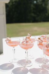Wedding Reception Pink Signature Drinks