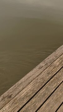 A close-up of a bridge over a canal  in a park Stromovka in Prague