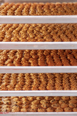 Stacked trays of freshly baked cookies
