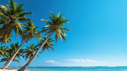 Obraz premium A serene tropical beach scene featuring swaying palm trees against a vibrant blue sky and calm ocean waves, perfect for relaxation.