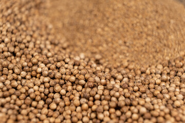 Coriander grains whole and ground natural seasoning