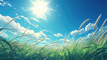 Obraz premium A field of wheat swaying in the wind under the bright midday sun, with a clear blue sky providing a striking contrast.