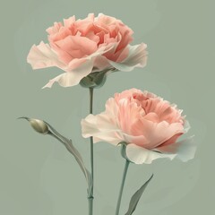 Fototapeta premium Two pastel coloured carnations on a light olive green background, acrylic paint style poster 