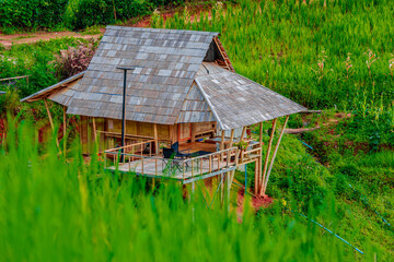 Natural background on the mountain with green rice terraces. Pa Bong Piang is one of the beautiful...