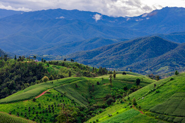 Natural background on the mountain with green rice terraces. Pa Bong Piang is one of the beautiful viewpoints in Chiang Mai, Thailand, overlooking the surrounding mountains. It is always popular.