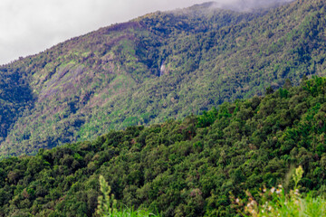 Natural background on the mountain with green rice terraces. Pa Bong Piang is one of the beautiful...