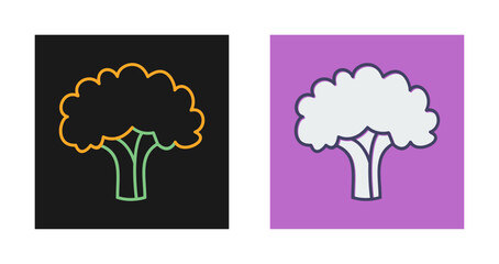 Cauliflower Vector Icon