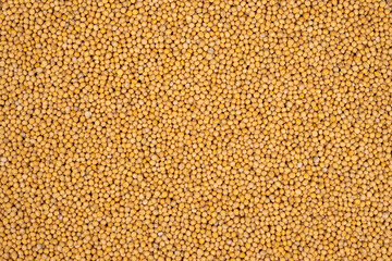 Yellow Dry Mustard Seed Background, Natural Organic Seasoning, Top View.