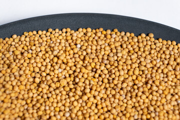 Mustard seeds in a plate, natural organic seasoning, top view.