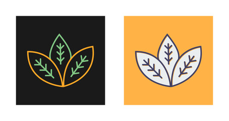 Spearmint Vector Icon