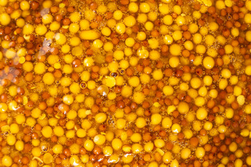 French Dijon mustard background, close-up, top view.