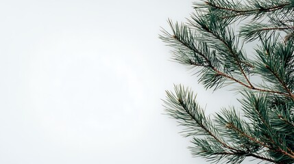 Green Christmas tree corner frame against a background