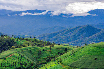 Natural background on the mountain with green rice terraces. Pa Bong Piang is one of the beautiful...