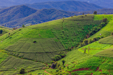 Natural background on the mountain with green rice terraces. Pa Bong Piang is one of the beautiful viewpoints in Chiang Mai, Thailand, overlooking the surrounding mountains. It is always popular.