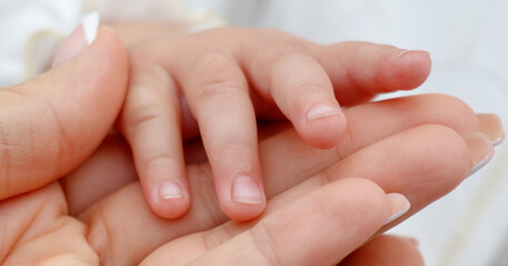 A close-up of a baby's hand gently held by an adult, symbolizing care and protection