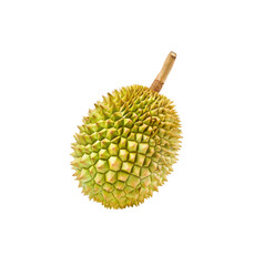 Durian isolated on transparent background