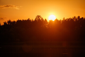 Obraz premium The sun is setting behind a forest, casting a warm glow over the trees