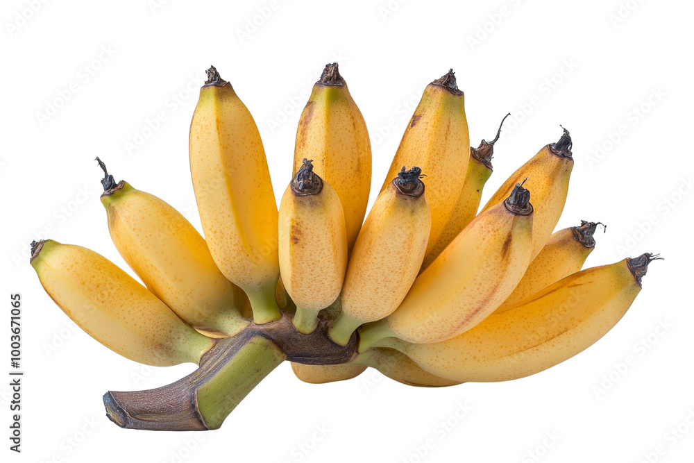 Aufkleber cluster of bananas still attached to the stem ,isolated on transparent background