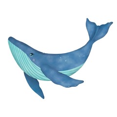 Fototapeta premium Hand drawn whale in turquoise and blue tones, watercolor illustration