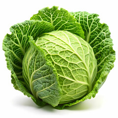 Green cabbage isolated on white background