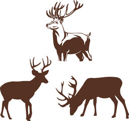 Set of Cute Deer with Antlers Flat Vector illustration isolated on a White Background