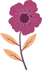 Abstract Shape Flower and Leaves Vector illustration on White Background. 