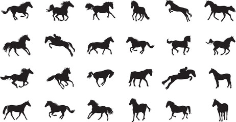 Big set of Horses Silhouettes Black Vector illustration on White Background.