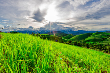 Natural background on the mountain with green rice terraces. Pa Bong Piang is one of the beautiful...