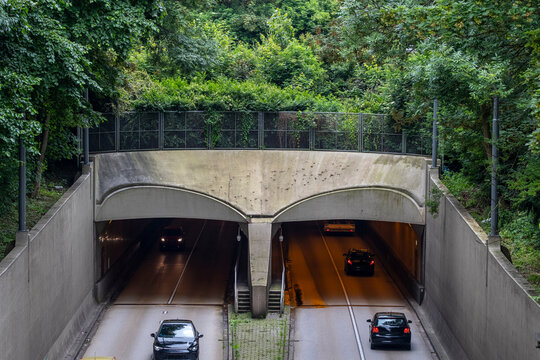 Vehicles are seen driving through a tunnel surrounded by lush greenery, blending urban infrastructure with nature, symbolizing harmony and connectivity within the environment in Rotterdam