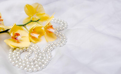The branch of yellow orchids on white fabric background