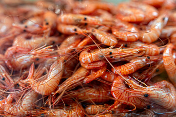 Cooked shrimp presented on a plate at a bustling seafood market, showcasing freshness.