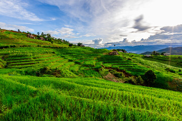Natural background on the mountain with green rice terraces. Pa Bong Piang is one of the beautiful...