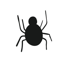 Spider doodle hand drawn isolated background. Vector illustration