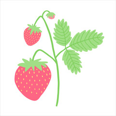 Detailed strawberry plant illustration with vibrant red fruits, green leaves, and delicate stems. Perfect for botanical art, garden designs, and organic-themed graphics.