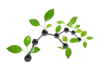 A molecular structure intertwined with vibrant green leaves symbolizes connection between nature and science. This image captures essence of sustainability and innovation in visually striking way. 