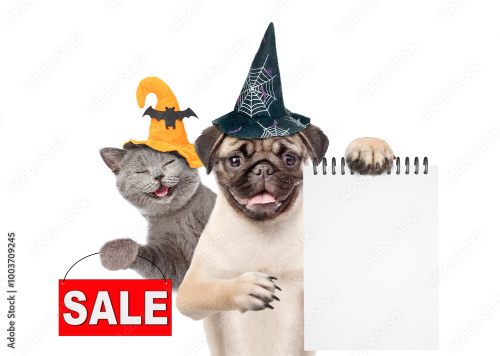 Poster happy cat and pug puppy wearing hats for halloween looks at camera. dog shows blank notepad. kitten 