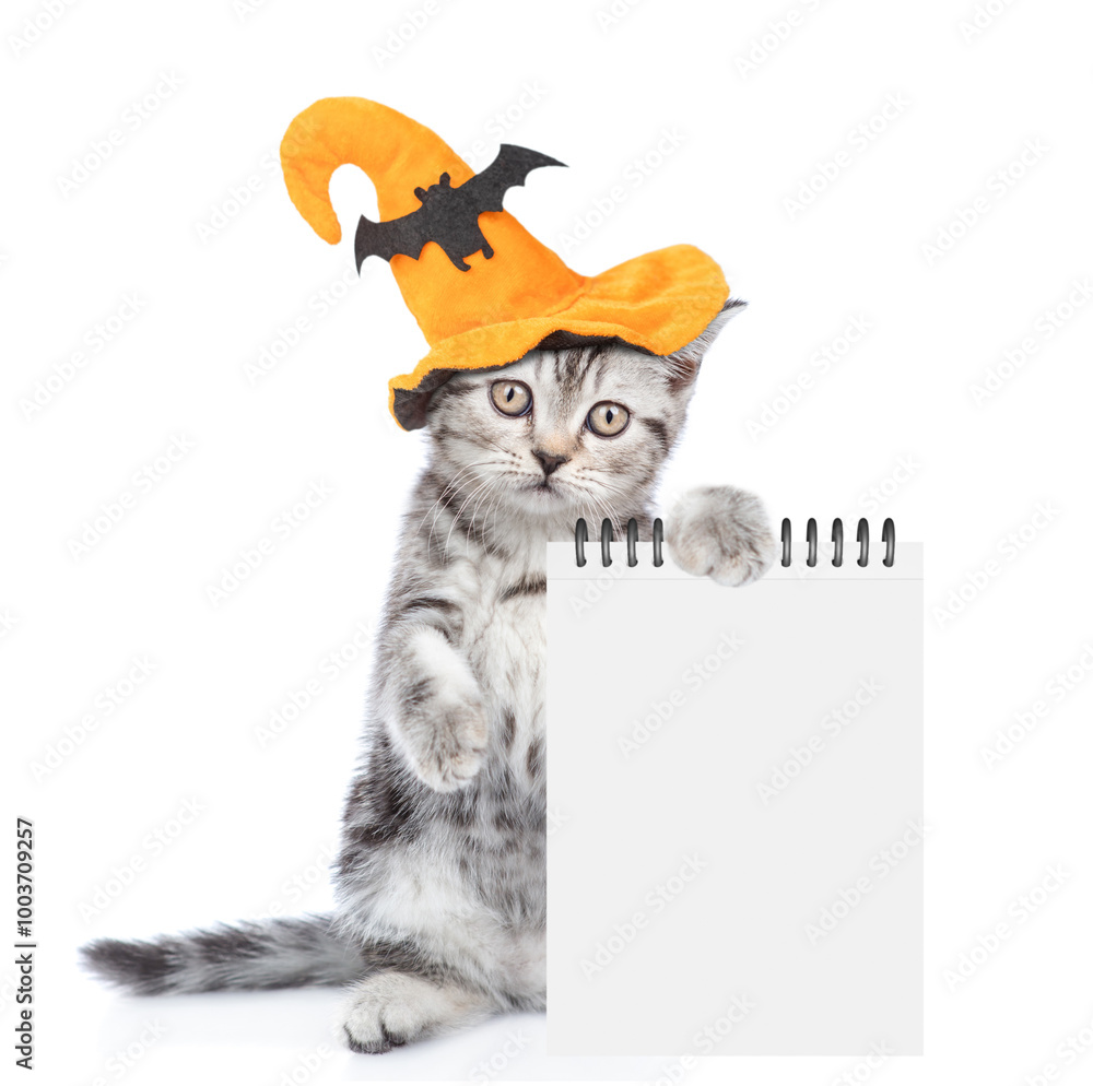 Poster Cute Kitten with hat for halloween shows blank notepad. Empty space for text. isolated on white background