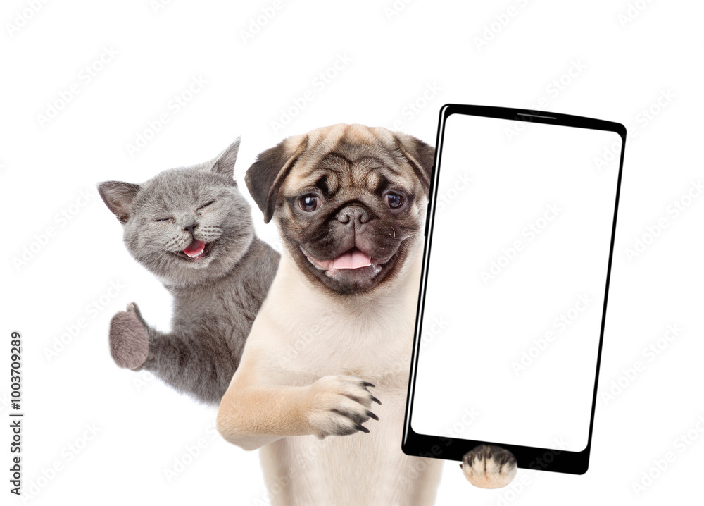 Aufkleber smiling pug puppy holds big smartphone with white blank screen in it paw, showing close to camera. h