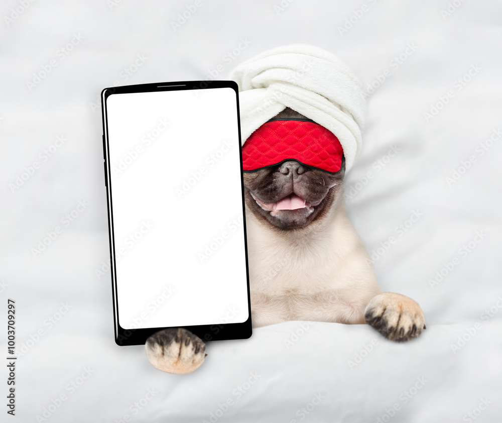 Poster pug puppy wearing towel and sleeping mask lying on a bed at home and showing big smartphone with whi
