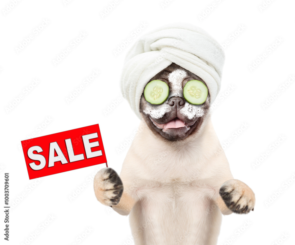 Poster funny pug puppy with towel on his head and with cream on his face and pieces of cucumber on his eyes