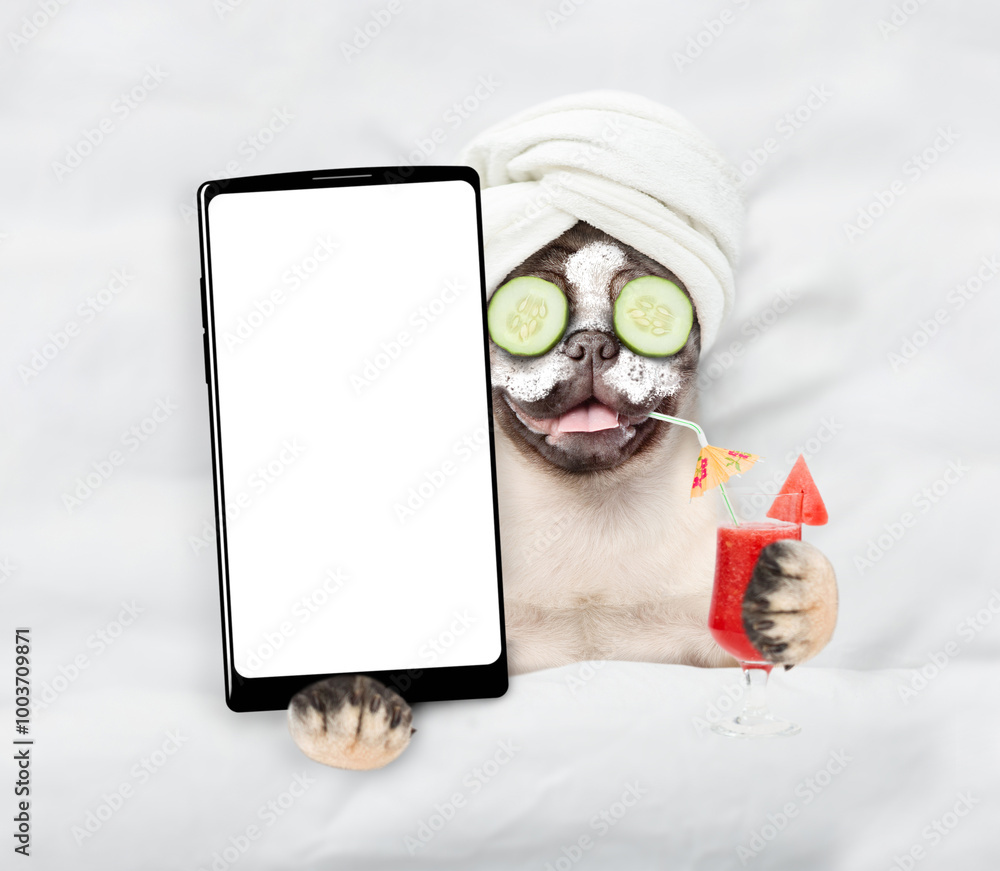 Aufkleber Happy Pug puppy with towel on it head, with a pieces of cucumber on it eyes and with cream on face, relaxing on the bed at home and showing big smartphone with white screen in it paw. Top down view