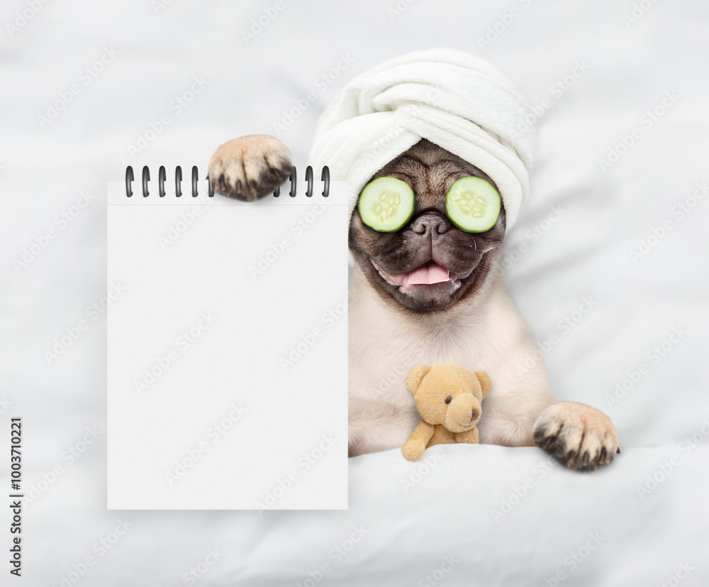 Aufkleber Funny Pug puppy with towel on it head and with pieces of cucumber on it eyes relaxing on the bed at home and showing empty list. Top down view. Empty space for text