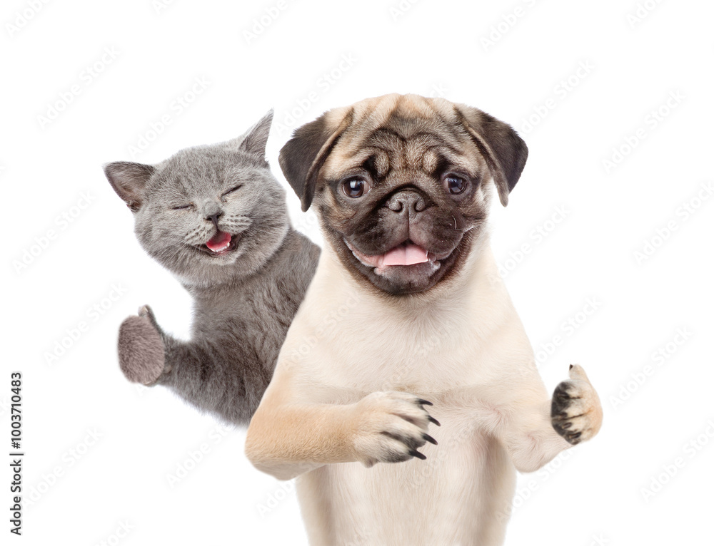 Poster pug puppy and happy cat showing thumbs up gesture. isolated on white background