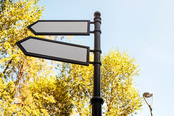 Blank Signpost in European Forest
