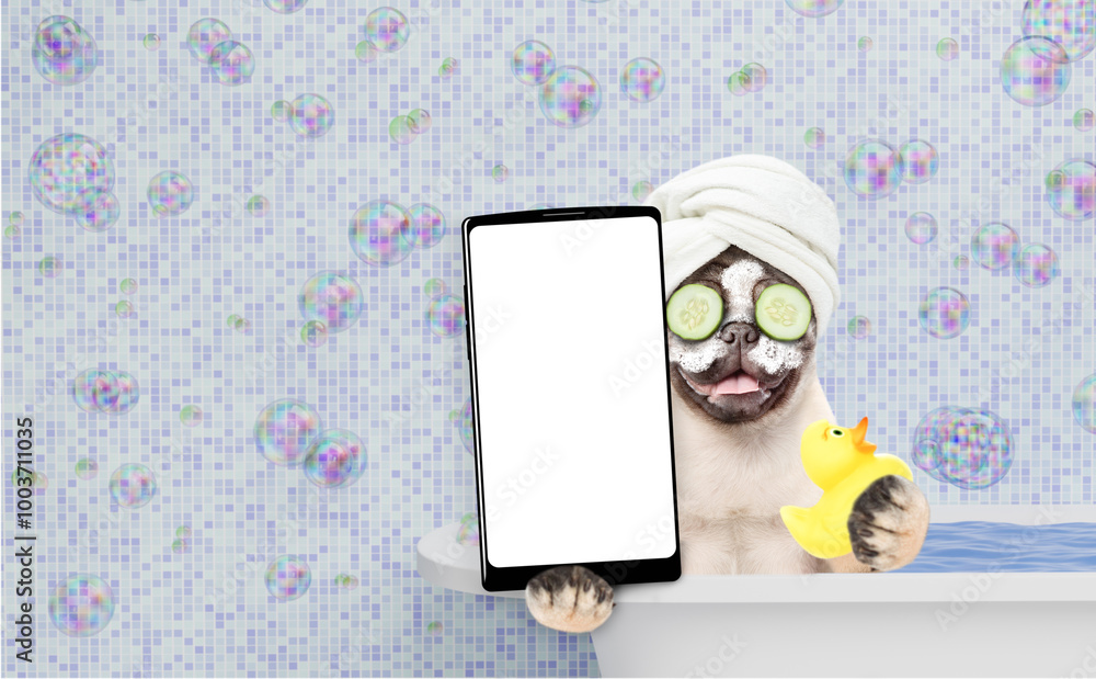Aufkleber Happy Pug puppy with towel on it head and with cream on it face and with slices of cucumber in it eyes takes the bath and shows big smartphone with white blank screen in it paw. Empty space for text