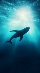 Whale Silhouette Underwater Sunlight