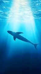 Fototapeta premium Whale Swimming Underwater