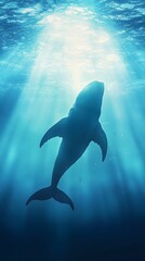 Whale Silhouette Underwater Sunlight