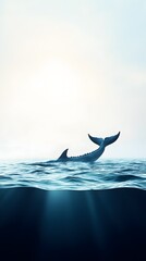 Whale Tail Ocean Surface