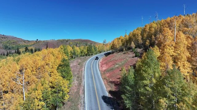 Aerial Mnt Nebo scenic byway forest autumn road. Beautiful season fall colors Aspen, Oak and Pine forest. Canyon central Utah. Exploring natural landscape. Seasonal weather. Nature recreation.